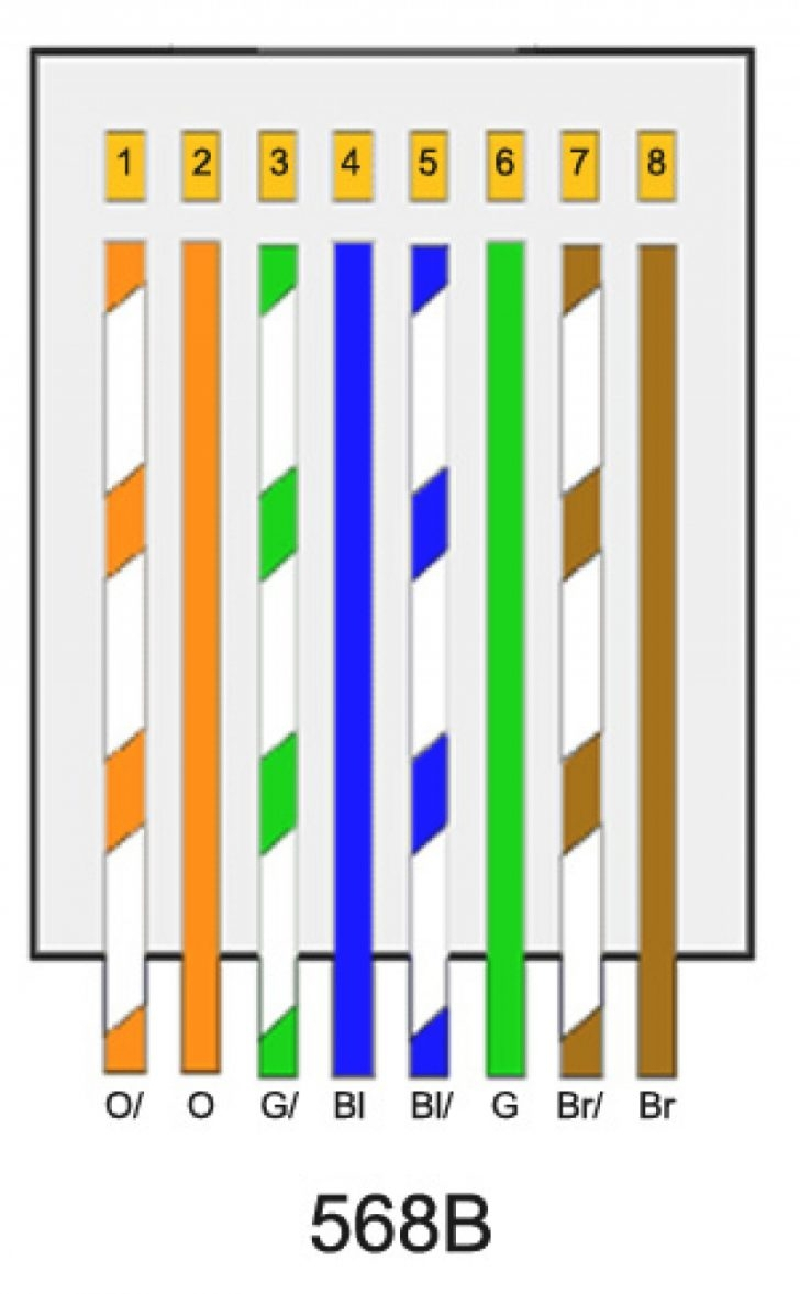 Cat 5 Wiring Diagram Plug