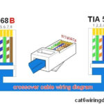 Ethernet Cable Color Code Enticing Appearance Cat Wiring