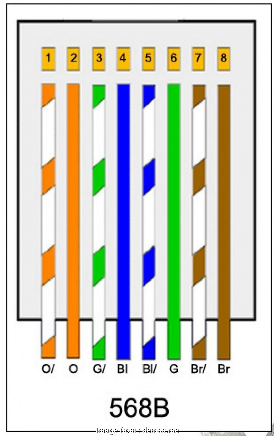 Cat 45 Wiring Diagram