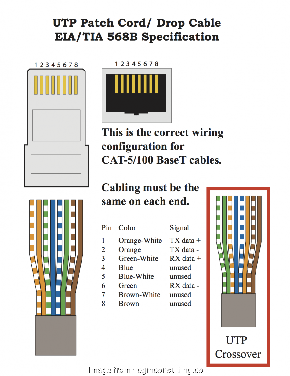 Cat 5 Wiring Diagram 568b