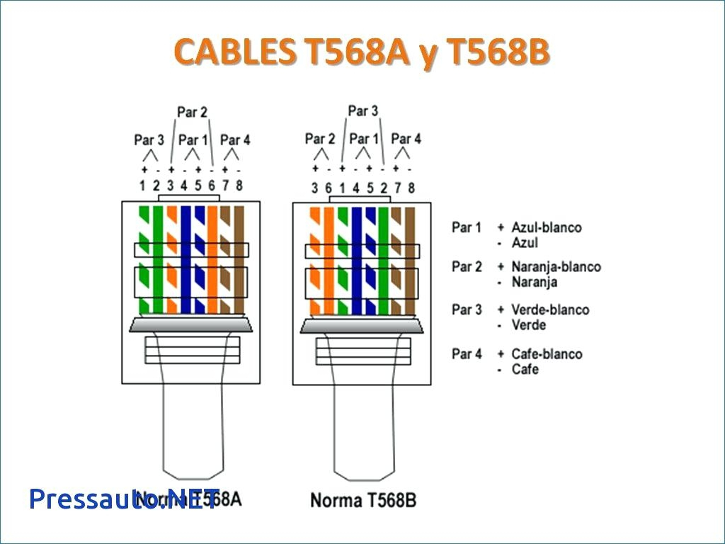 Cat V Wiring Diagram