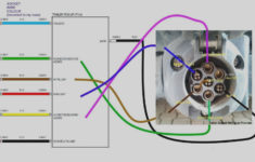 Trailer Light Socket Wiring Diagram