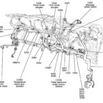 2007 F150 Wire Harness Wiring Diagram Database