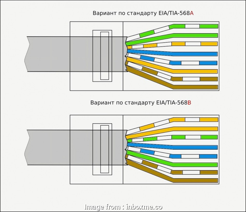 Cat 5 B Wiring Diagram