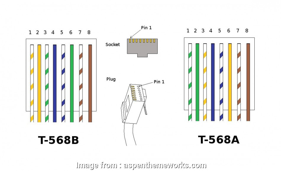 Cat 5 Wiring Diagram Type B