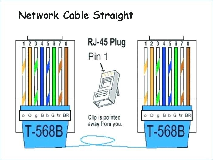 Cat 5 Wiring Diagram Type B