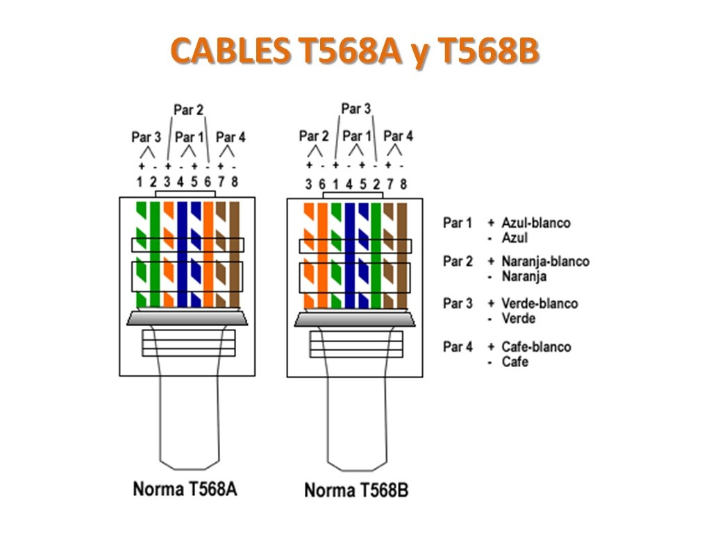 Cat 6 Wiring Diagram 568b