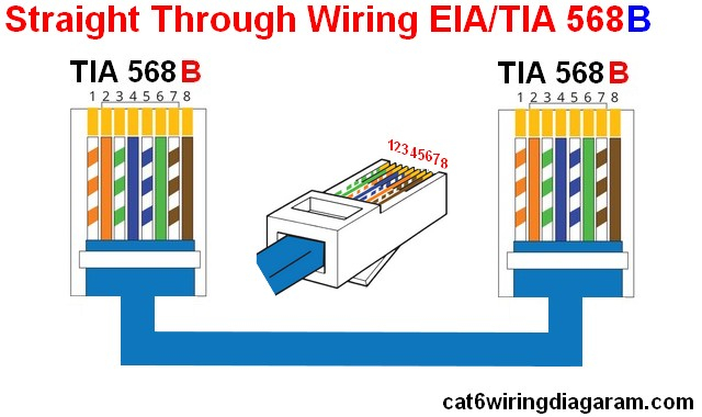 Cat 6 Wiring Diagram 568b