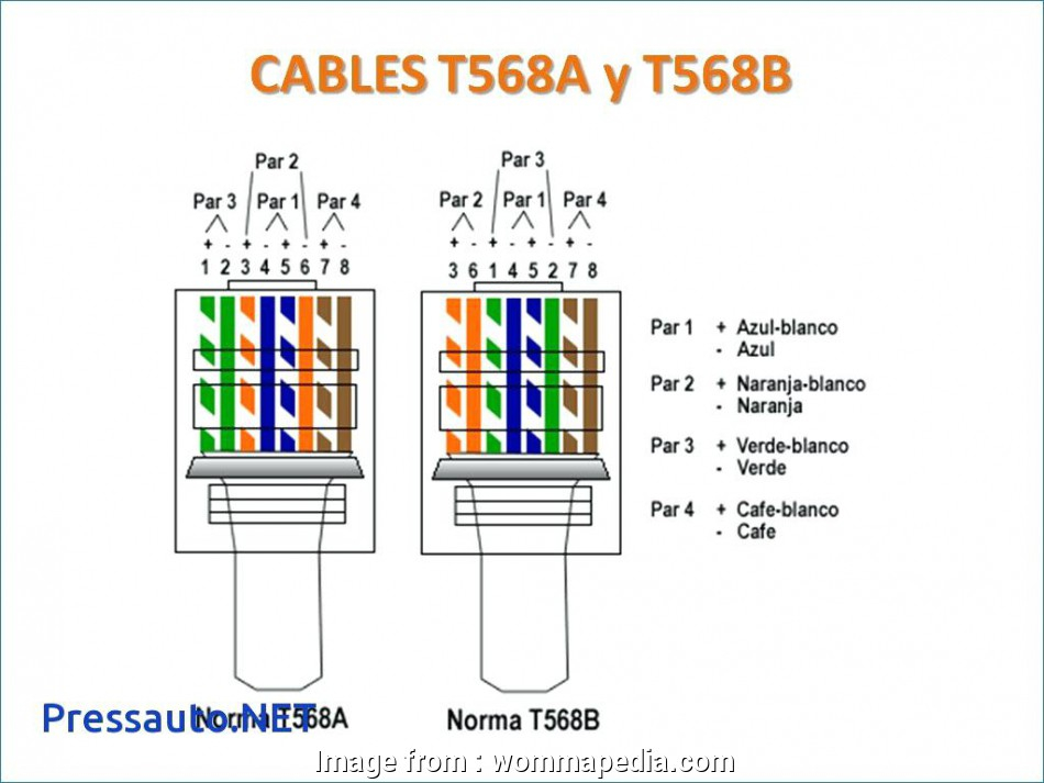 Cat 5 Wiring Diagram Type B