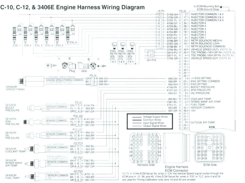 Cat 3176 Ecm Wiring Diagram