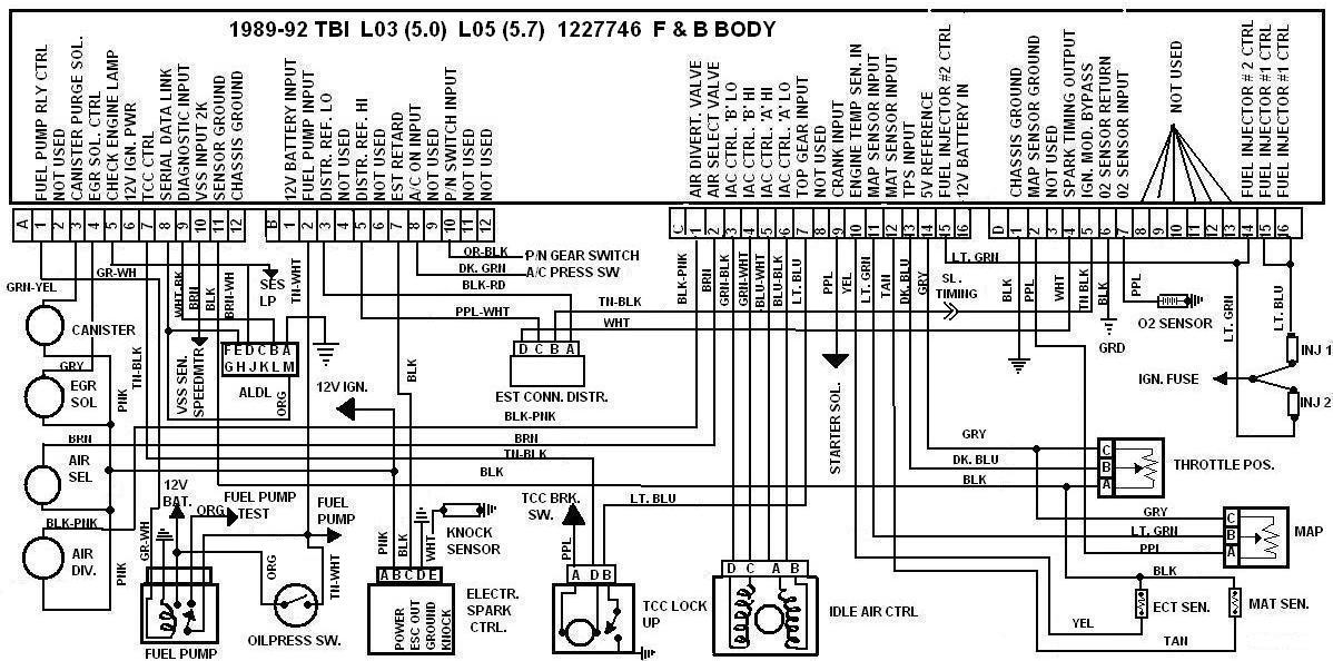 3176 Cat 40 Pin Ecm Wiring Diagram