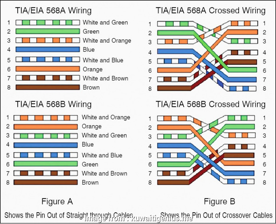 Cat 6 568b Wiring Diagram