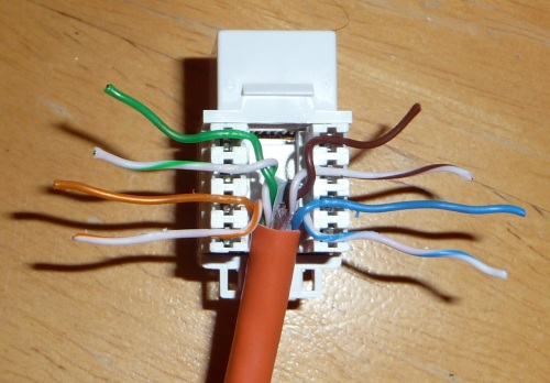 Cat 6 Wiring Diagram For Wall Plates Legrand