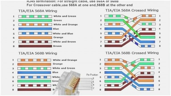 Diagram For Cat 8 Wiring