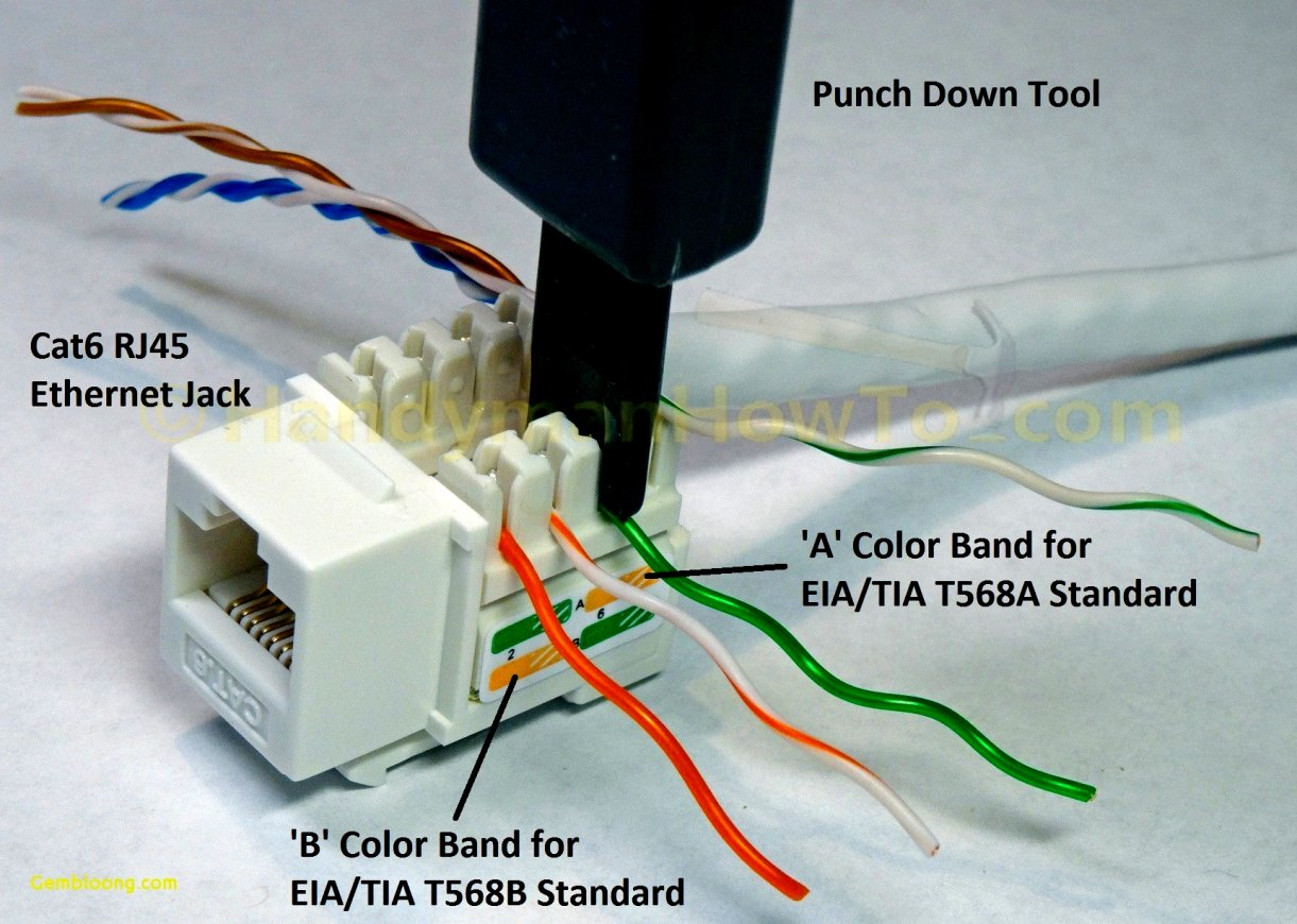 Cat Female Wiring Diagram