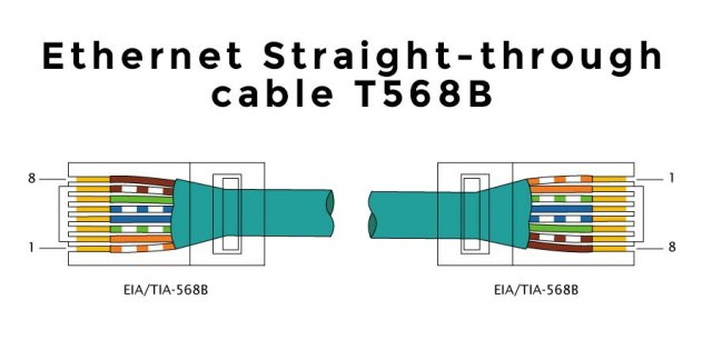 Network Cat Cable Wiring Diagram Quickport