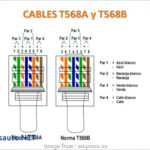 Cat 5E Vs 6 Wiring Diagram Best Cat5E Wiring Diagram
