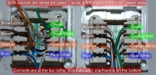 Cat 5 Socket Wiring Diagram