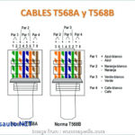 Ethernet Cat 5 Wiring Diagram