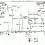 2002 Chevy S10 Wiring Harness Diagram 2002 S10 Brake Lights Stay On