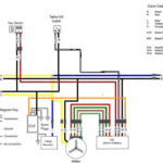 Image Result For Wiring Diagram Yamaha Zuma 1990 Kill Switch Diagram