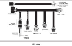Msd Ls Ignition Controller Wiring Diagram