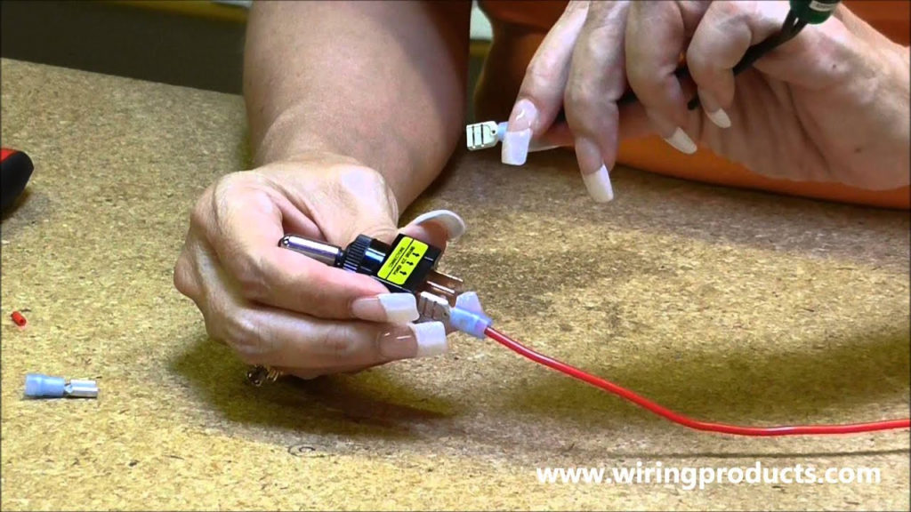 LED Toggle Switch For Automotive Use With Wiring Products YouTube